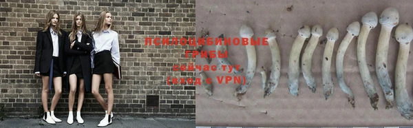 марки nbome Армянск
