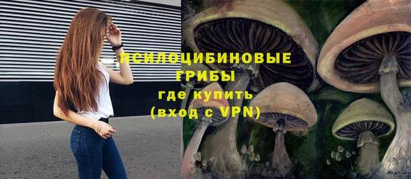 прущая мука Арсеньев