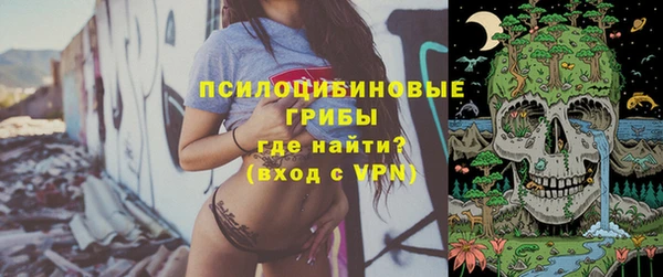 прущая мука Арсеньев