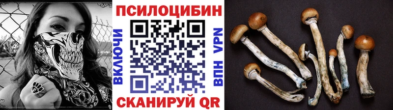 купить наркоту  Северо-Курильск  Галлюциногенные грибы мухоморы 