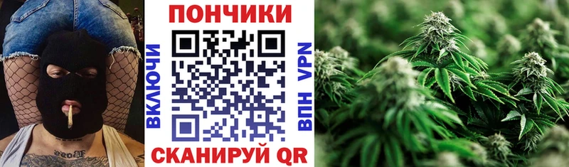 Канабис сатива  где найти наркотики  Северо-Курильск 